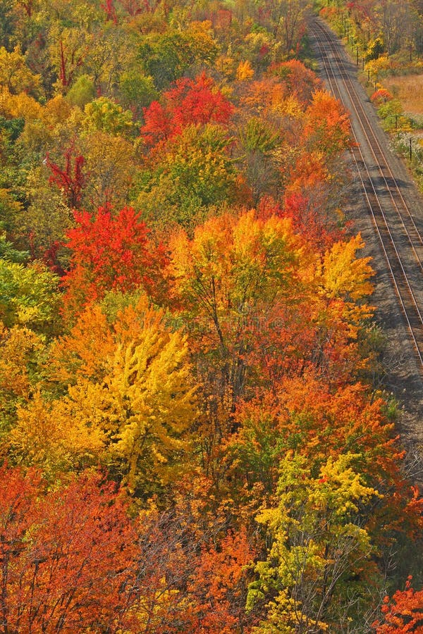 Autumn trees and Amtrak railroad tracks upstate rural New York, red, yellow, orange. Autumn trees and Amtrak railroad tracks upstate rural New York, red, yellow, orange