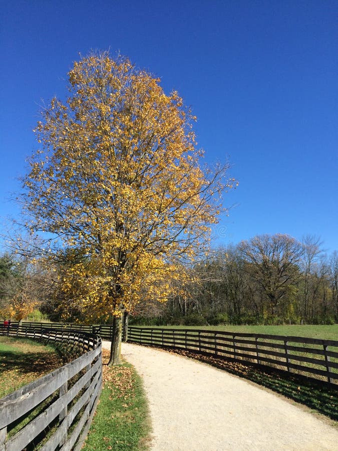 Fall-Weg stockfoto Fall-Weg stockfoto