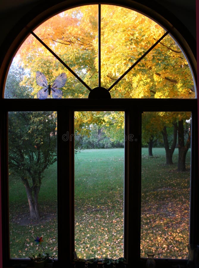 Fall window