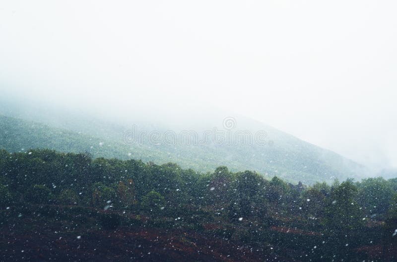 falla som är insnöat bergen, väg i skogen med snöflingor, vinternatur, feriehelg i naturen, grönt träd med whit arkivfoton falla som är insnöat bergen, väg i skogen med snöflingor, vinternatur, feriehelg i naturen, grönt träd med whit arkivfoton
