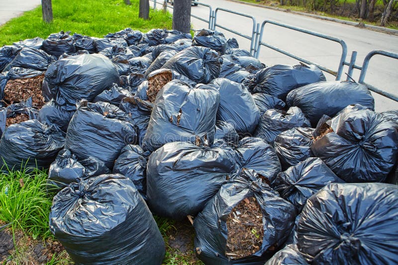 Lots of big black garbage bags for cleaning the autumn leaves on the street  in the park Stock Photo