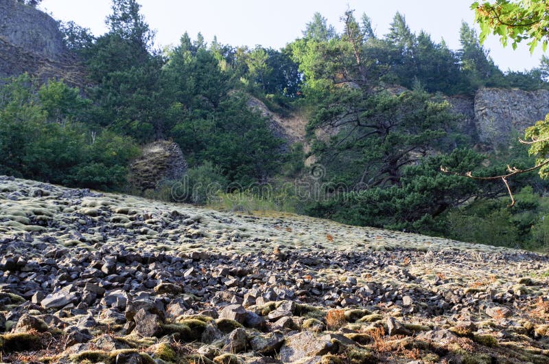 Fallen rocks , Eagle Creek, Columbia Gorge, Oregon. Fallen rocks along hiking trail in Eagle Creek, Columbia River Gorge 4 days before fire in late August 2017 royalty free stock photography Fallen rocks , Eagle Creek, Columbia Gorge, Oregon. Fallen rocks along hiking trail in Eagle Creek, Columbia River Gorge 4 days before fire in late August 2017 royalty free stock photography