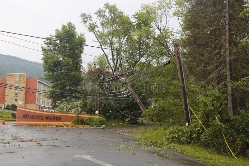 ELLENVILLE, NEW YORK - JULY 13: Fallen tree damaged power lines in the aftermath of severe weather and tornado in Ulster County, New York on July 13, 2014