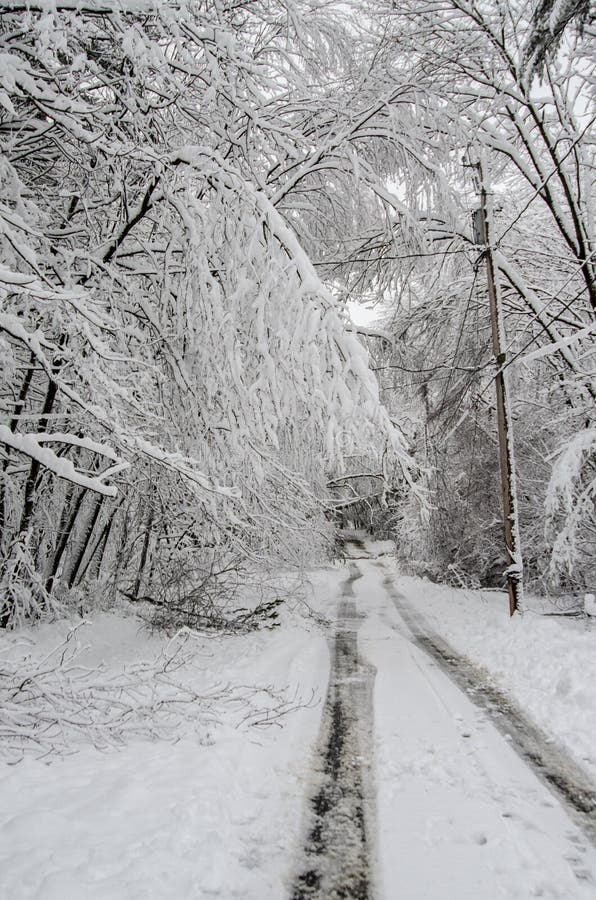 Fallen trees on road in winter snow storm stock photography Fallen trees on road in winter snow storm stock photography