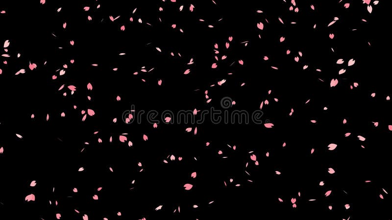 Fallende Kirschblüte-Kirschblüte mit dem Alpha, geschlungen