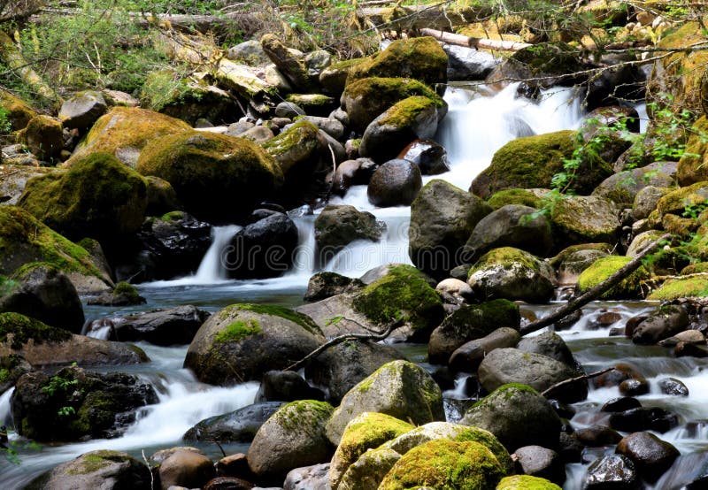 faller litet vatten royaltyfri foto faller litet vatten royaltyfri foto