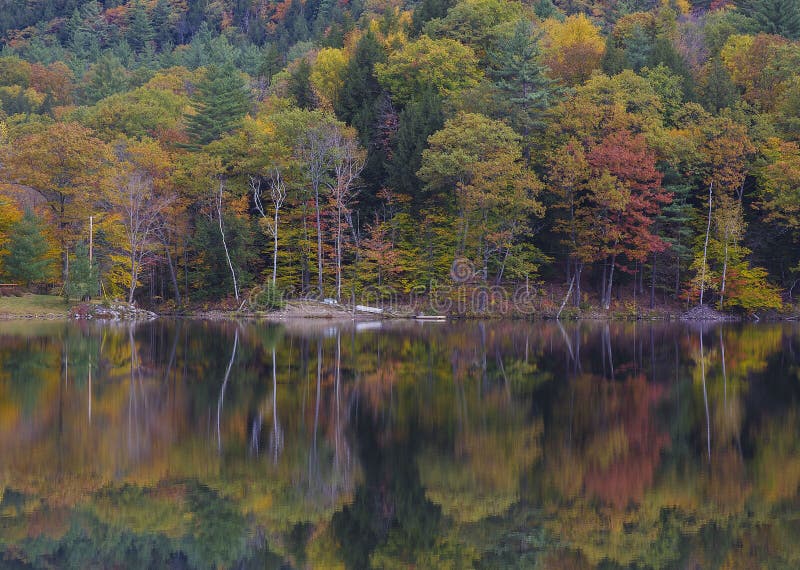 Fallfarben stockfoto