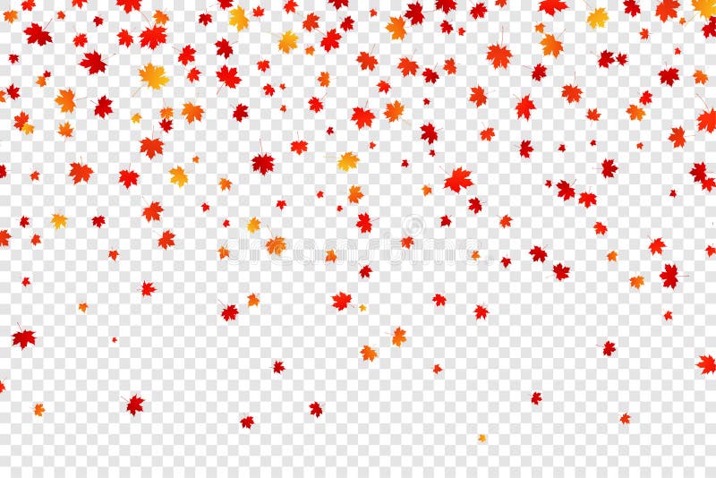 Maple Leaf Transparent Background Stock Illustrations – 2,678 Maple ...