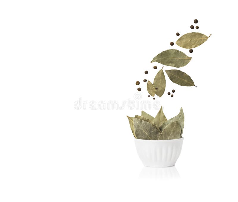 Falling Bay Leaves with Allspice in a Bowl Stock Photo Image of plant