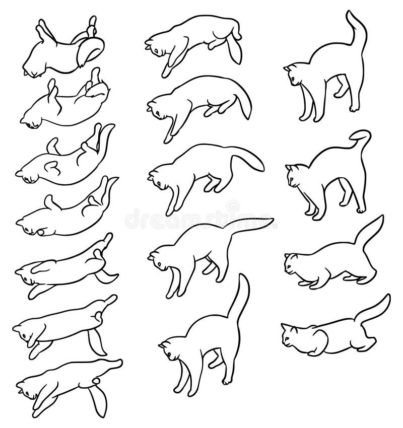 Falling cat animation stock illustration. Illustration of movement - 48253382 Falling cat animation stock illustration. Illustration of movement - 48253382
