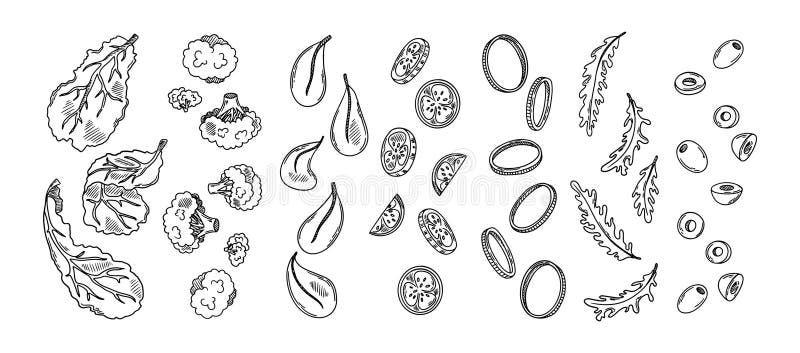 Falling fresh sliced vegetables. Sketch of broccoli, cucumber, spinach, olive, onion, lettuce, arugula. Vector illustration stock illustration