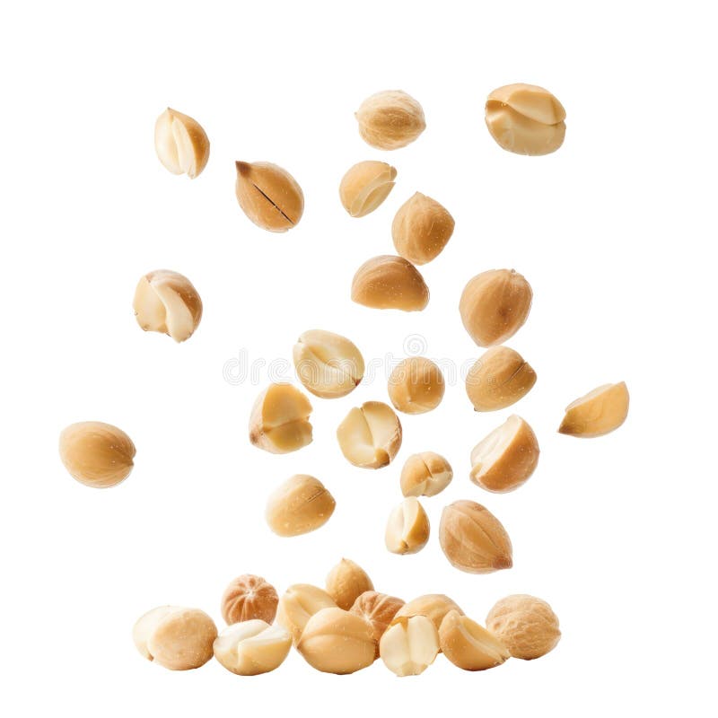 Falling Macadamia Nuts isolate stock illustration