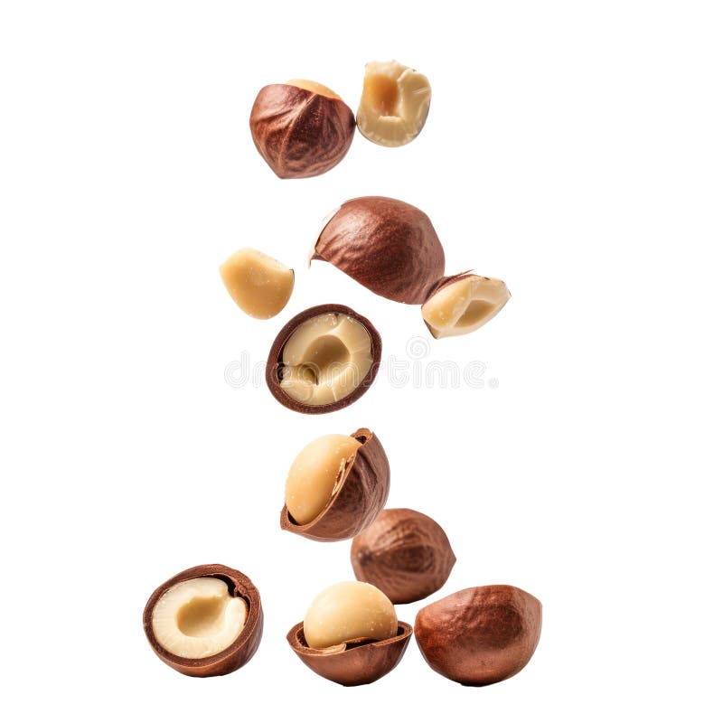 Falling Macadamia Nuts isolate royalty free illustration