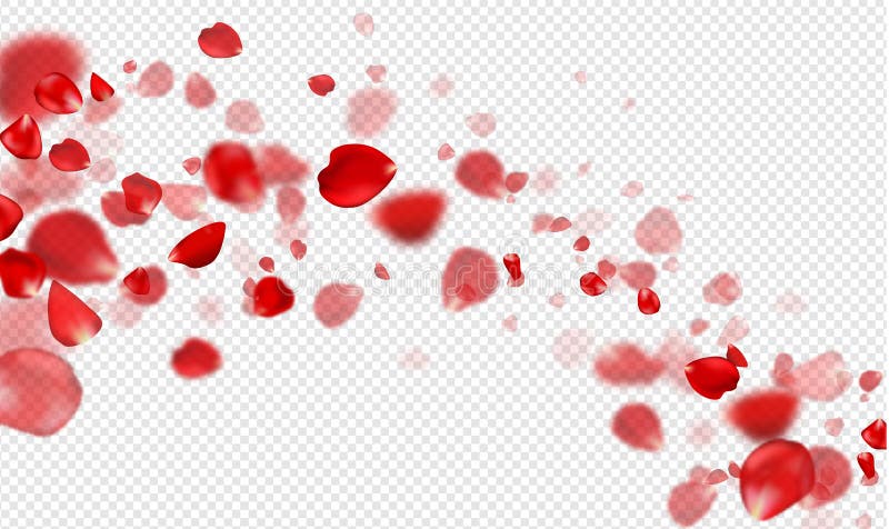 Falling Red rose petals on a transparent background.Vector illustration