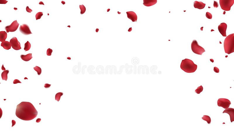 Transparent Fake PNG Background Stock Vector - Illustration of text, blank:  265492346