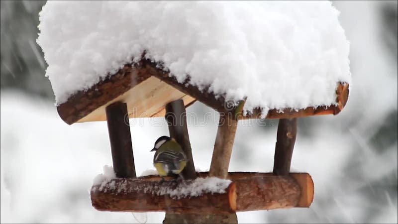 Falling snowflakes on birdhouse