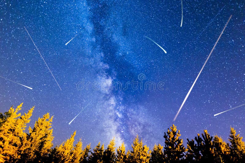 Falling Stars Pine Trees Milky Way Stock Photo Image of discovery