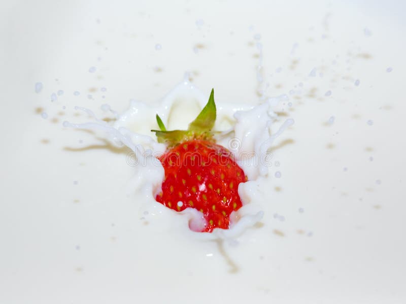 Falling strawberry royalty free stock photo