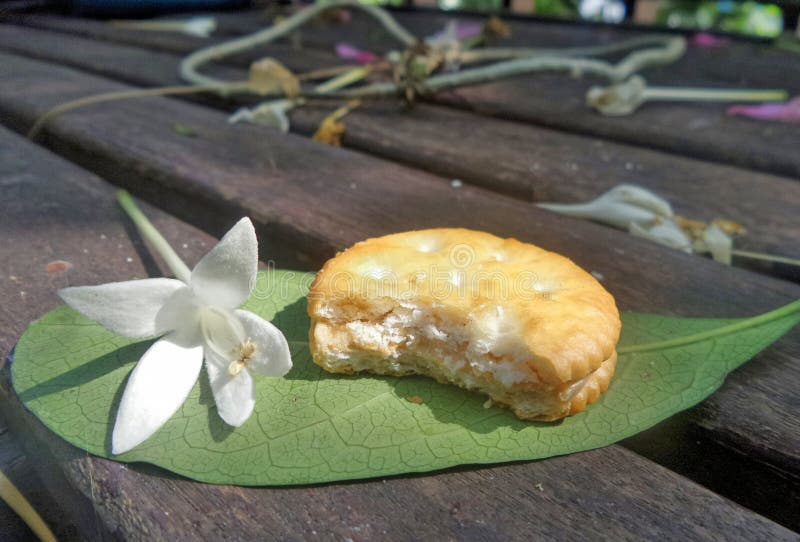 falling-white-flowers-half-biscuit-green-leaf-outdoor-picnic-flower-62048637.jpg