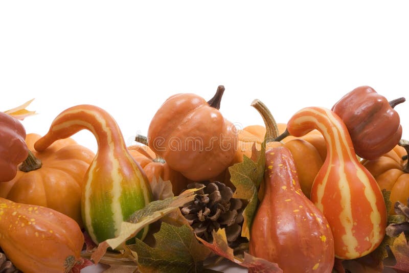 Fallkalebasspumpor arkivfoto