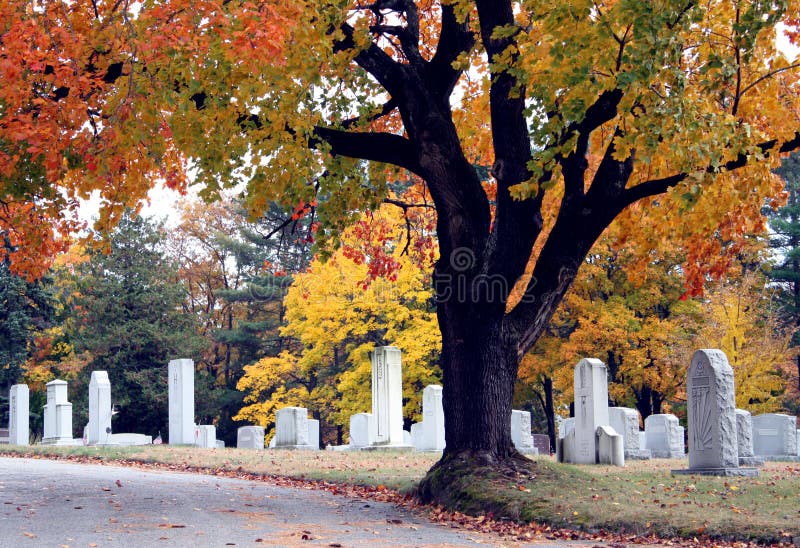 Trees with colorful autumn foliage in a cemetery with several old headstones. Trees with colorful autumn foliage in a cemetery with several old headstones