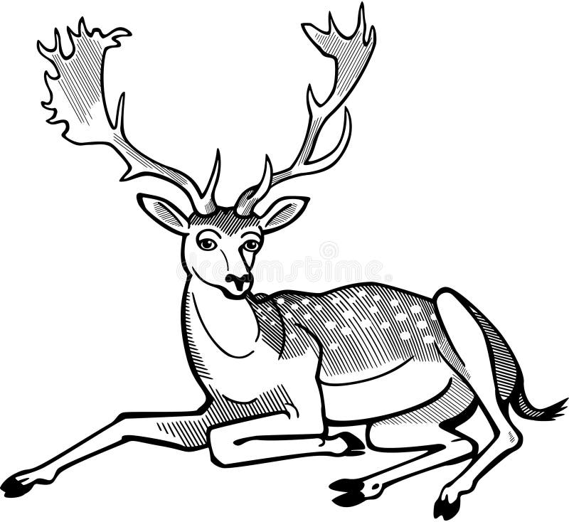 Deer Drawing Line Black and White.