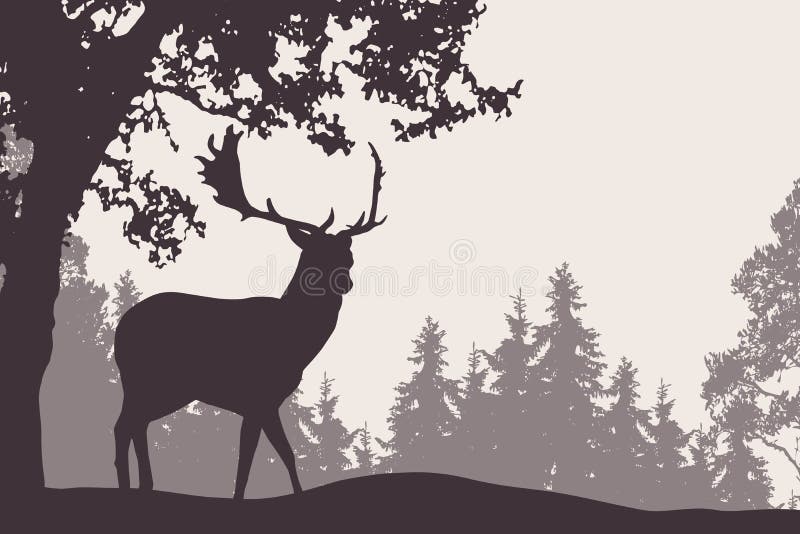 Fallow deer standing under a deciduous tree with coniferous fore