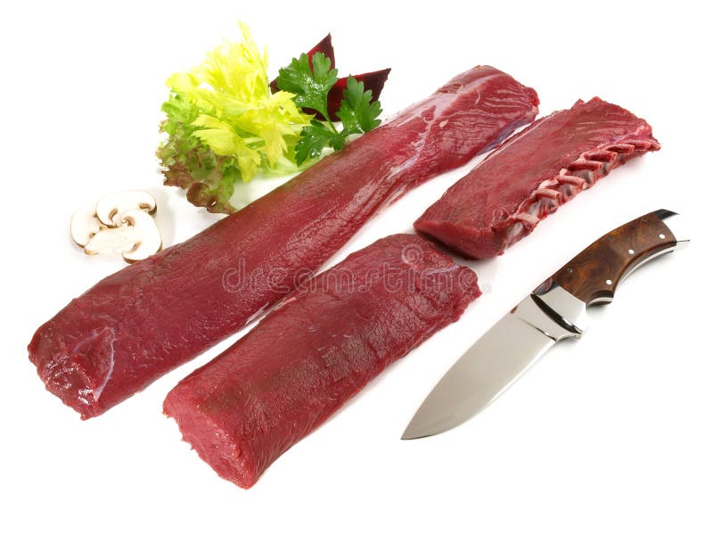 Raw Fallow Deer Loin Wild Game Meat Stock Image Image of game