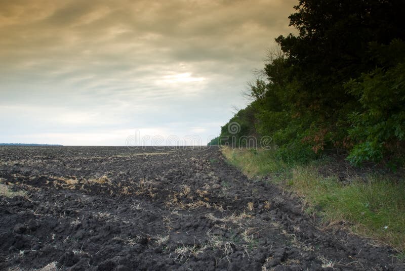 Fallow farming field