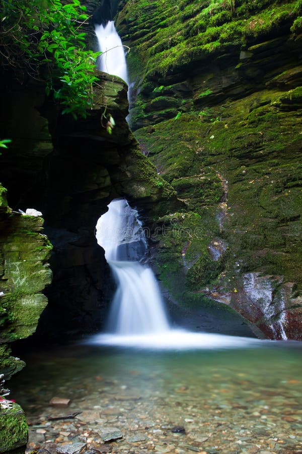 Waterfall in the Woods stock image. Image of trees, growing 27254921