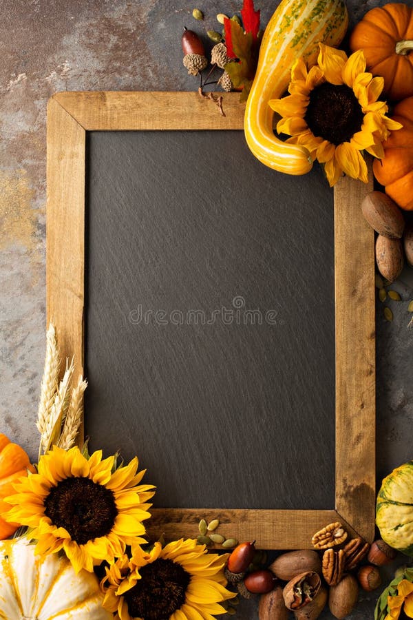 Falltafel-Kopienraum mit Kürbisen und Sonnenblumen stockfotos Falltafel-Kopienraum mit Kürbisen und Sonnenblumen stockfotos