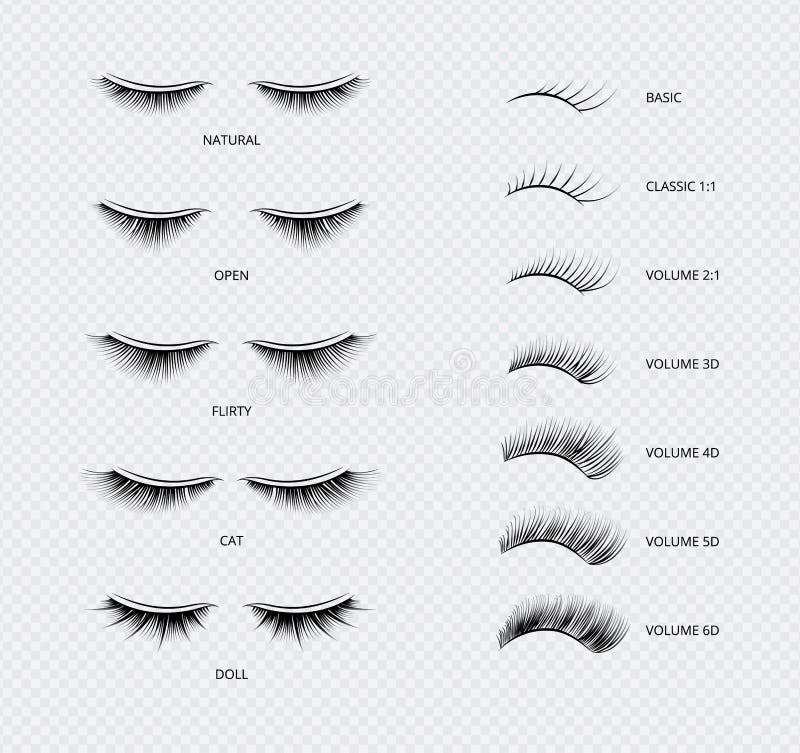 False eyelashes types and kinds poster of vector illustrations isolated on white background. Artificial women lashes shapes and length classification catalog. False eyelashes types and kinds poster of vector illustrations isolated on white background. Artificial women lashes shapes and length classification catalog.