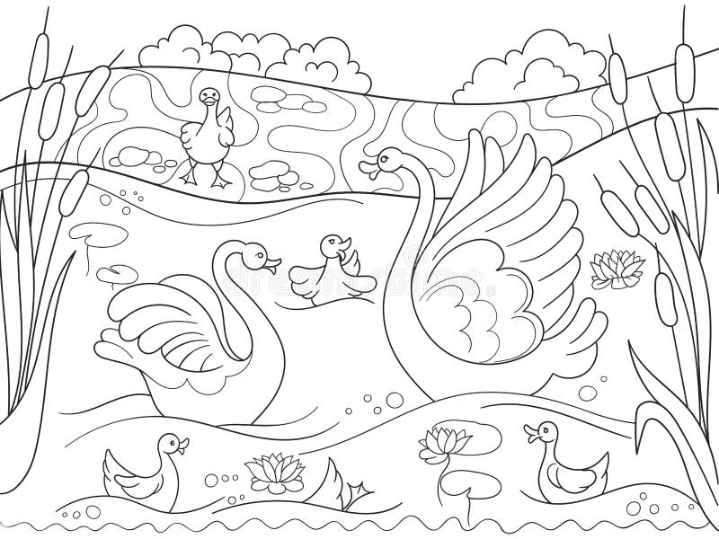Página Preto E Branco Para Colorir Desenho De Cisnes Bonitas Dos Pares  Folha Para Crianças E Adultos Ilustração do Vetor - Ilustração de conto,  livro: 110512756