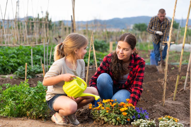 Famiglia amichevole che lavora insieme nel giardino di casa immagine stock libera da diritti