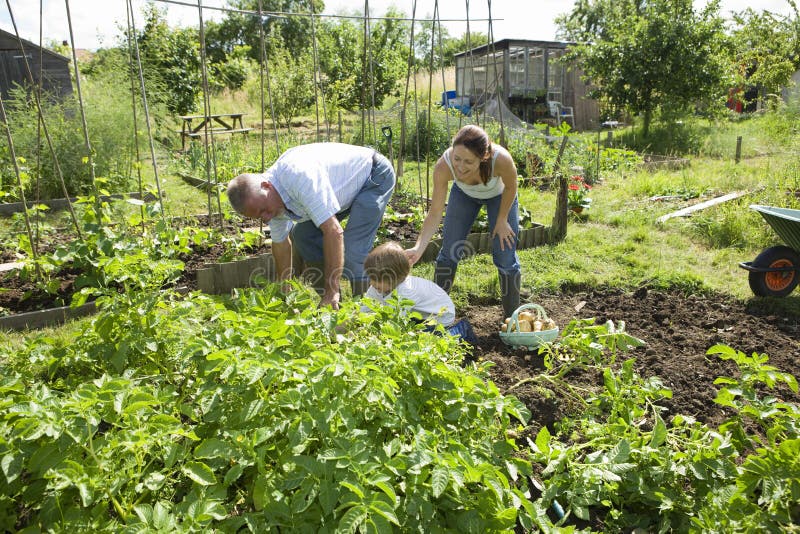 Famiglia che fa il giardinaggio insieme nel giardino della Comunità