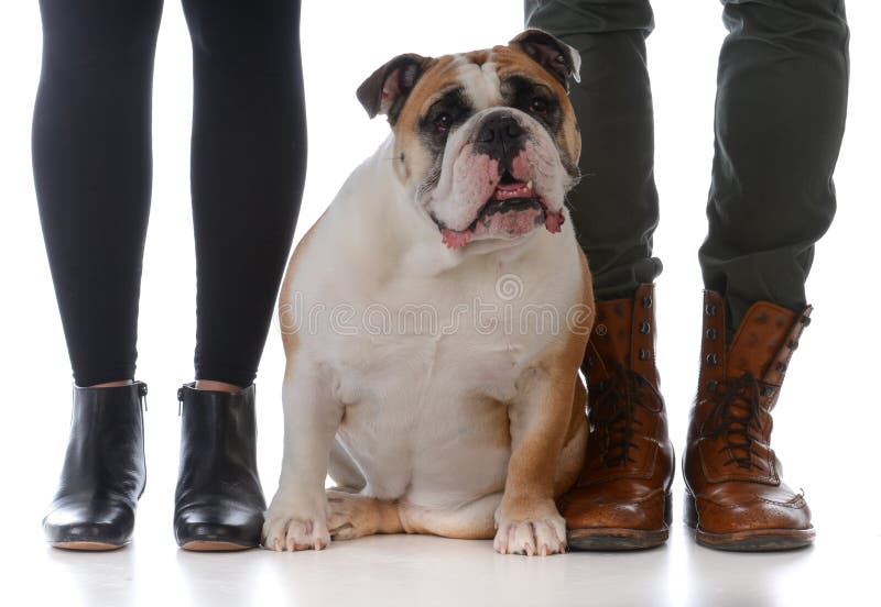 famiglia con il loro cane fotografie stock famiglia con il loro cane fotografie stock
