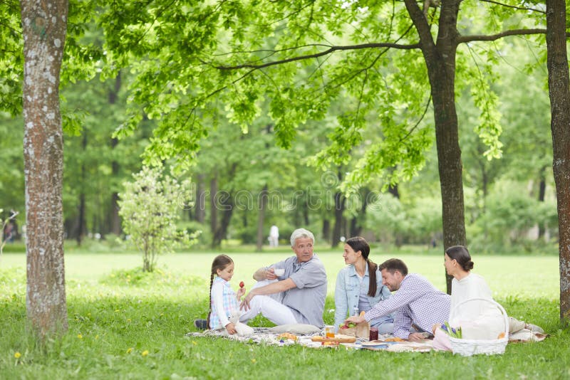 Familia en comida campestre imágenes de archivo libres de regalías