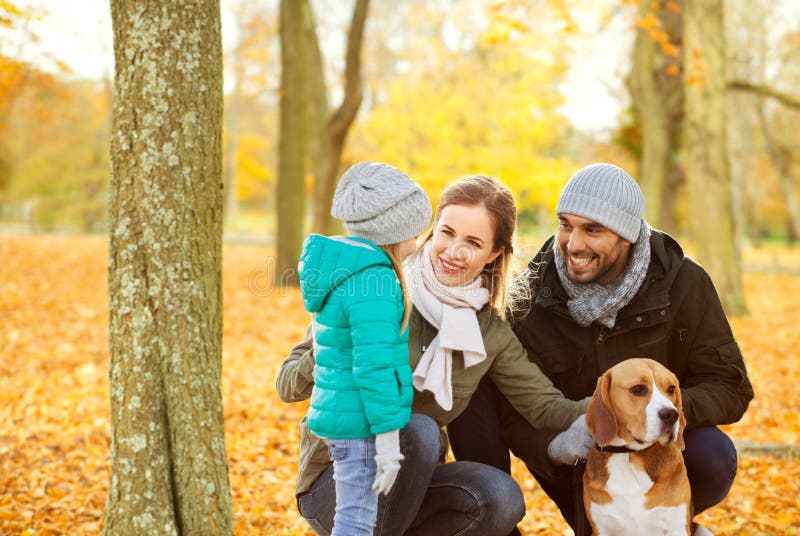 Familia feliz con el perro del beagle en parque del otoño fotos de archivo libres de regalías Familia feliz con el perro del beagle en parque del otoño fotos de archivo libres de regalías