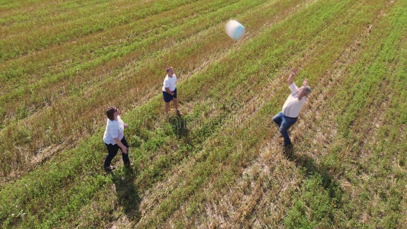 Familia feliz divertiéndose jugando bola al aire libre vista aérea. metrajes