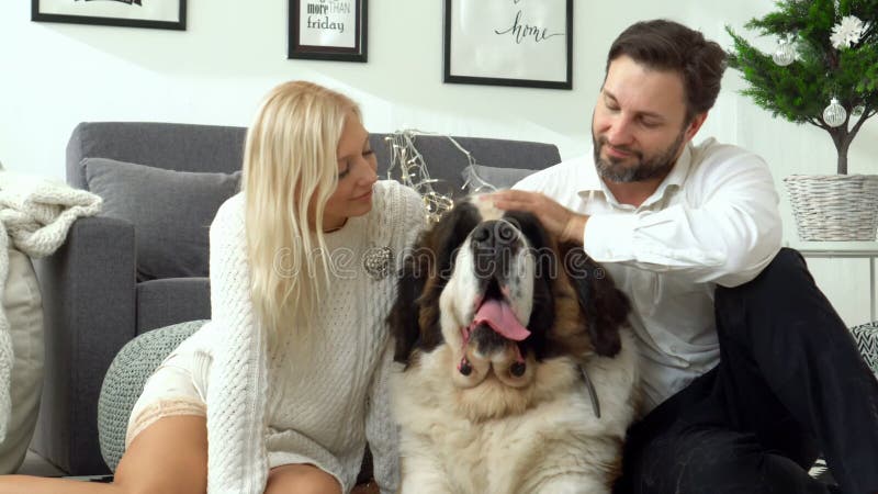 Familia linda que se relaja junto en el sofá con su perro en la manta en sala de estar en casa Retrato de la familia con a