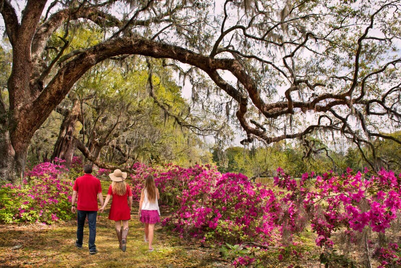 Familia que camina en el parque hermoso el ma?ana de la primavera imagen de archivo libre de regalías Familia que camina en el parque hermoso el ma?ana de la primavera imagen de archivo libre de regalías