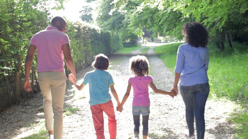 Familie americană africană care merge pe jos în mediul rural stock footage