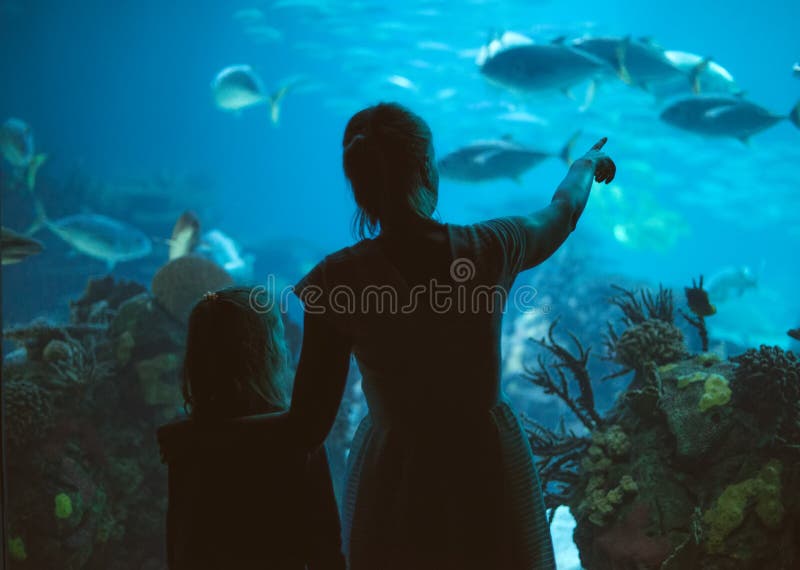 Familie in aquarium royalty-vrije stock fotografie Familie in aquarium royalty-vrije stock fotografie