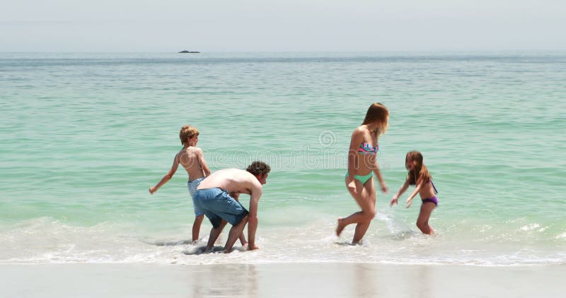 Familie fericită jucând în apă stock footage