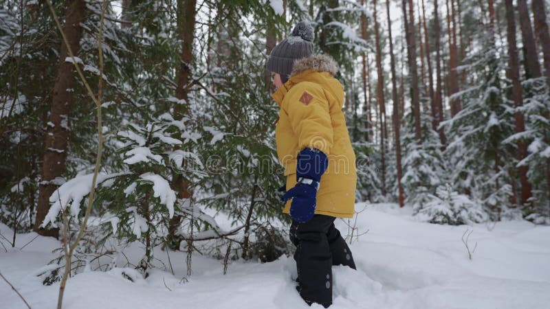 Familiedag in de natuur in sneeuwwoud in de winter klein kind dat de natuur in de gelukkige kindertijd onderzoekt
