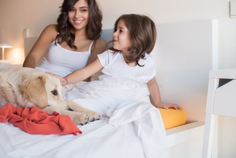 Familj med hunden i sängen royaltyfria bilder Familj med hunden i sängen royaltyfria bilder