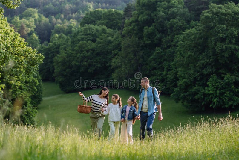Familj på promenad i skogen som går genom ängen. plockning av svampväxter blommor som plockas i korkfoder. begrepp arkivfoto