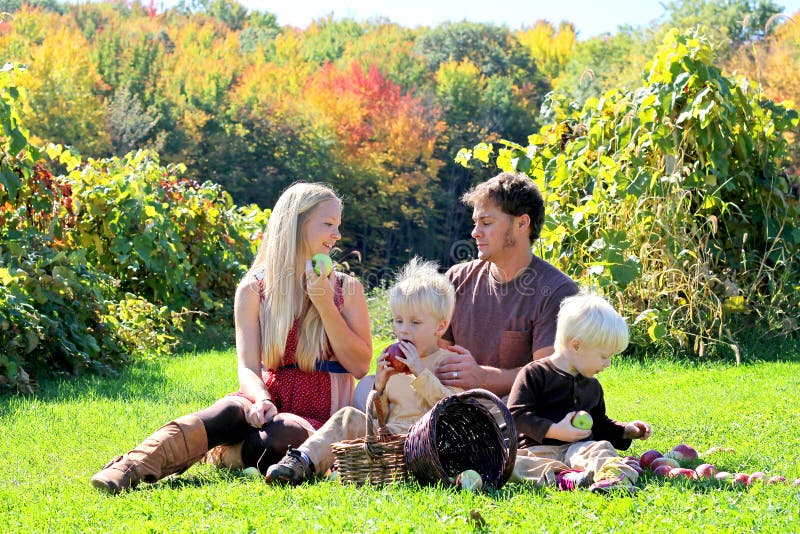 Famille de quatre heureuse ayant le casse-croûte de fruit chez Autumn Apple Orchard photos libres de droits
