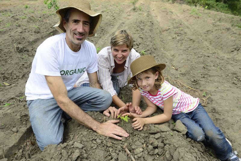 Famille des agriculteurs organiques plantant la jeune plante photographie stock Famille des agriculteurs organiques plantant la jeune plante photographie stock