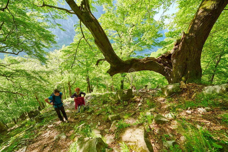 Famille des randonneurs marchant sur une traînée de montagne photo stock Famille des randonneurs marchant sur une traînée de montagne photo stock